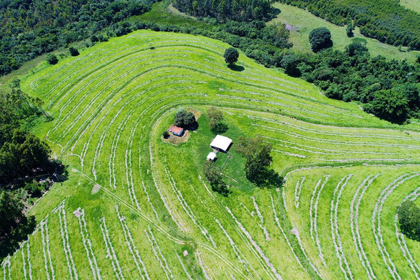 Aerial view of agriculture and rural scene. Beaufiful landscape. Great countryside view. Agriculture scene. Rural scene. Countryside scene. Rural road. Farm view. - Photo, Image