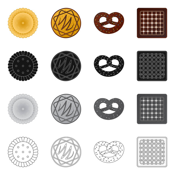 Isolated object of biscuit and bake icon. Collection of biscuit and chocolate stock vector illustration. - Vetor, Imagem