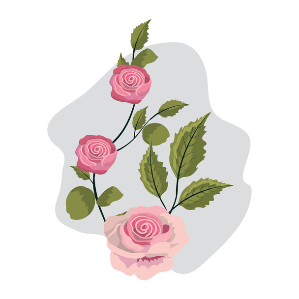 nice exotic roses with branches leaves - Vector, Image