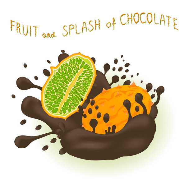Ilustración sobre el tema cayendo kiwano en salpicadura de chocolate azucarado
 - Vector, imagen