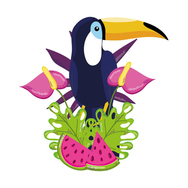 tropische vogel tucano cartoon - Vector, afbeelding
