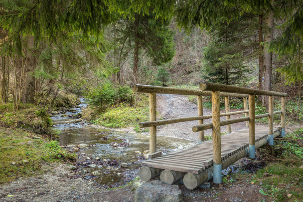 Eine hölzerne Fußgängerbrücke über einen Bach im Wald. - Foto, Bild