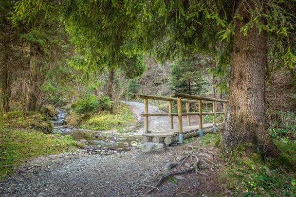Een houten voetgangersbrug over een beek in een bos. - Foto, afbeelding