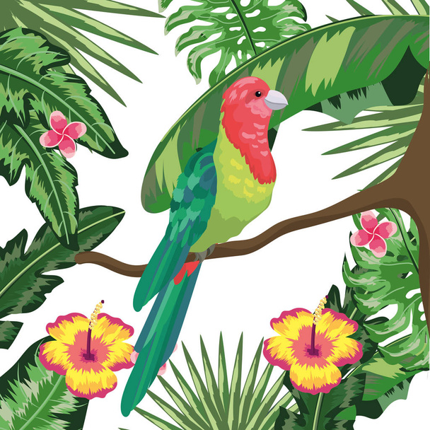 Egzotikus madarak egzotikus és trópusi madár - Vektor, kép