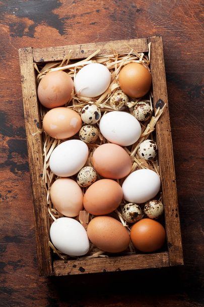 Hen and quail eggs - Photo, Image