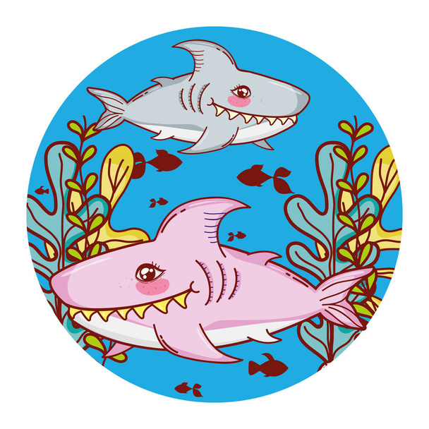 sharks fishes animal with seaweed plants - Vector, Image