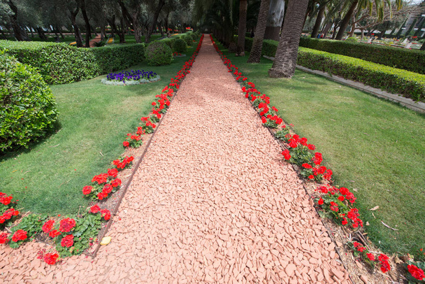 piękne bahai gardens w haifa, Izrael  - Zdjęcie, obraz