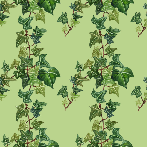 Watercolor seamless botanical ivy illustration. Botanical seamless pattern from ivy twig.  - Фото, зображення