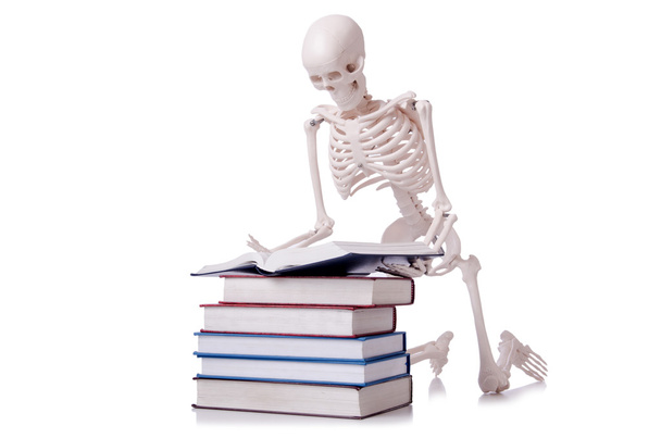 Скелет, читающий книги о белом
 - Фото, изображение