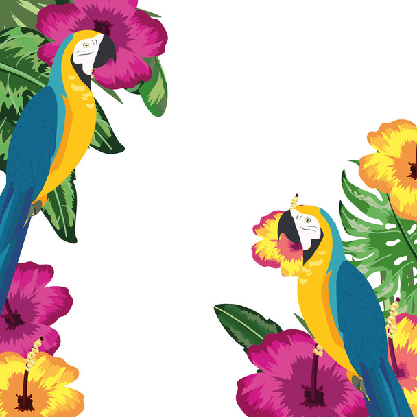Exotic and tropical birds frame - Vetor, Imagem