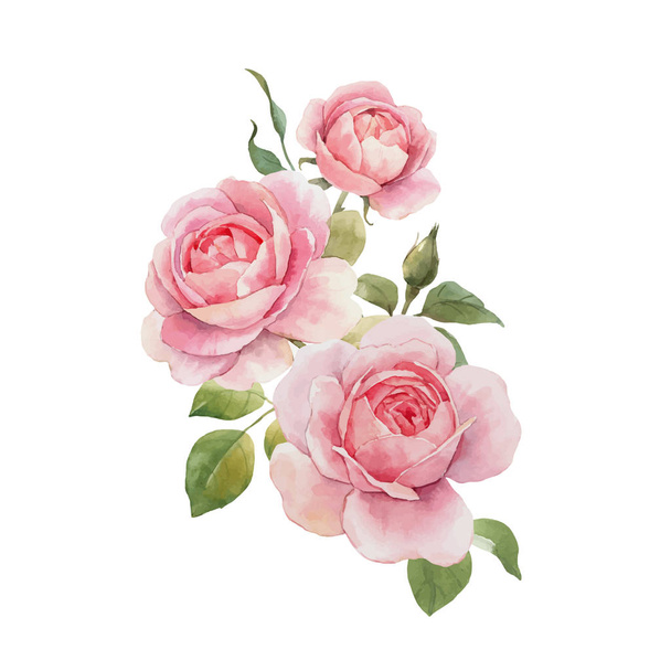 Watercolor rose vector omposition - Vecteur, image
