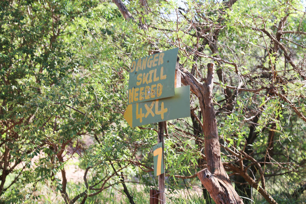 ソーン ツリー 4 x 4 トレイル スキルを必要とを持つアフリカ bushveld サバンナ - 写真・画像