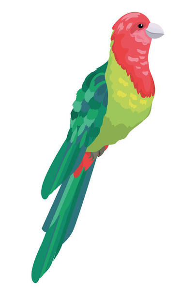Pájaro exótico y tropical
 - Vector, imagen