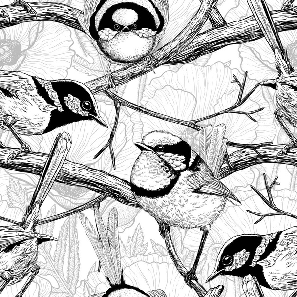 Fairy wrens pattern - Vector, afbeelding