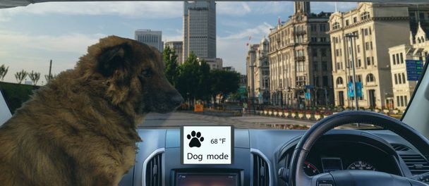 スマート自律走行車は、車やペットを保護または保護するために犬とセントリーモードを使用し、上の気候制御を維持することに加えて、タッチスクリーンは、現在のキャビンの温度を表示します - 写真・画像