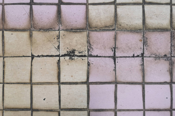 Плиткова підлога в туалеті неправильний вибір Забарвлення і грибок, Поняття вологи і бруду і порожній простір для тексту
. - Фото, зображення