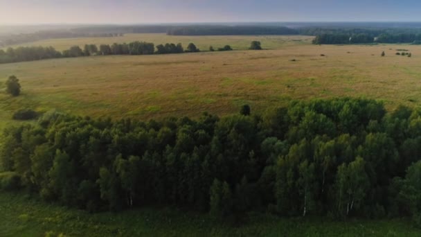 Vue aérienne survolant une magnifique prairie et une forêt infinies paysage de campagne incroyable
 - Séquence, vidéo