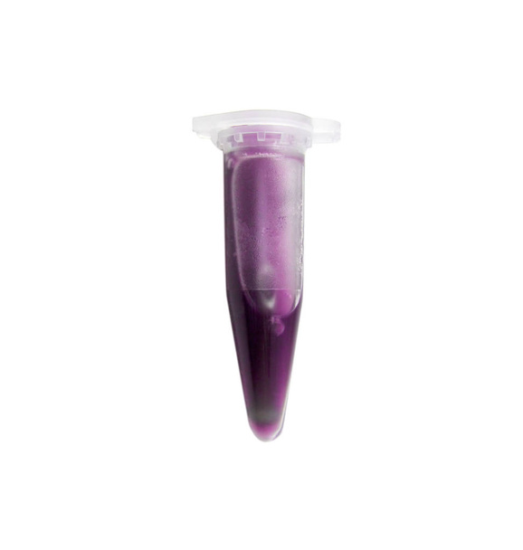 Tubo di microcentrifuga isolato per analisi PCR (reazione a catena della polimerasi) con liquido viola
 - Foto, immagini