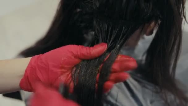 Primer plano de peluquero sosteniendo y coloreando una hebra de una mujer de pelo oscuro
 - Metraje, vídeo