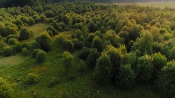 Reverse fast movement aerial shot amazing natural valley with forest and fields - Imágenes, Vídeo