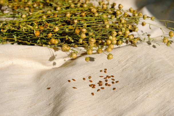 Scatole di semi di lino maturi isolate su tela di lino
. - Foto, immagini