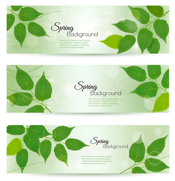 Nature banners with green spring leaves. Vector illustration.  - Vector, Image