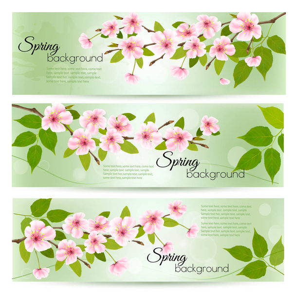 Spring nature background with cherry branch and green leaves. Ve - Vector, Image