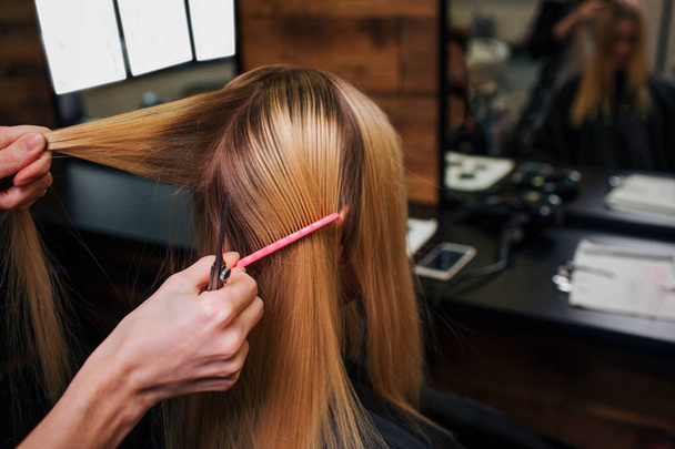 Hairstylist hands holding strand of blonde hair while combing it before haircut in salon - Photo, Image