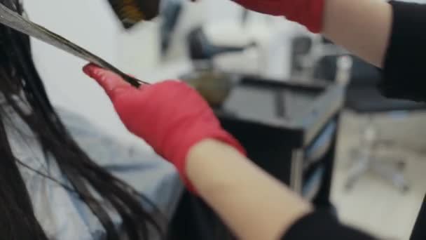 Gros plan d'un coiffeur coloriant une mèche d'une femme brune
 - Séquence, vidéo