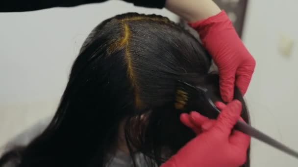 Coiffeur coloration des racines de cheveux de la femme aux cheveux foncés
 - Séquence, vidéo