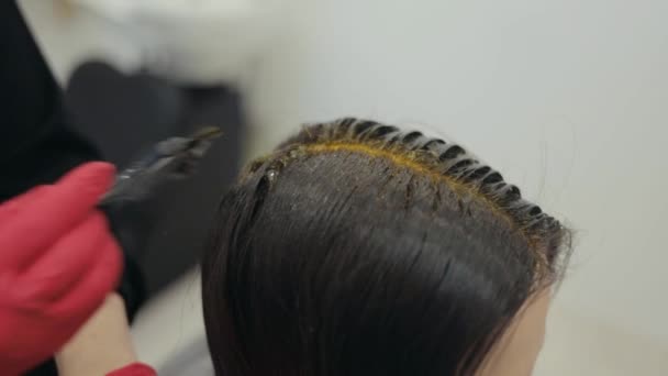 Hairdresser coloring hair roots of dark-haired woman - Footage, Video