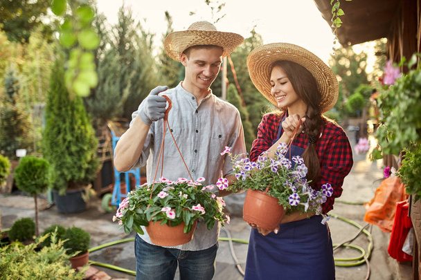Happy guy and girl gardeners in a straw hats hold pots with petunia on the garden path in  on a sunny day. - Φωτογραφία, εικόνα
