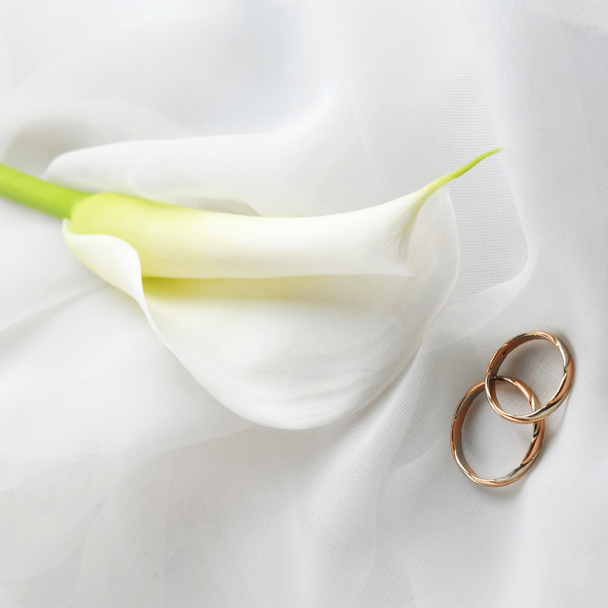 Tela blanca y anillos de boda
 - Foto, imagen
