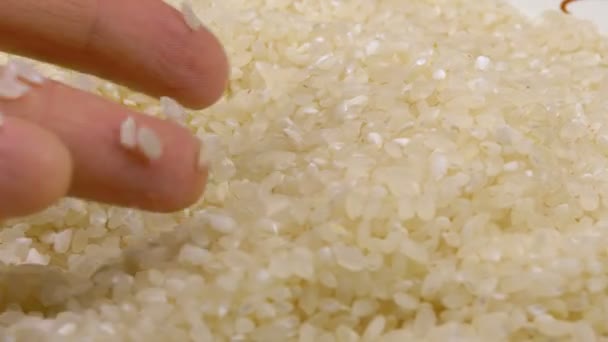 Human Hand Taking Pinch of Raw Rice - Materiał filmowy, wideo