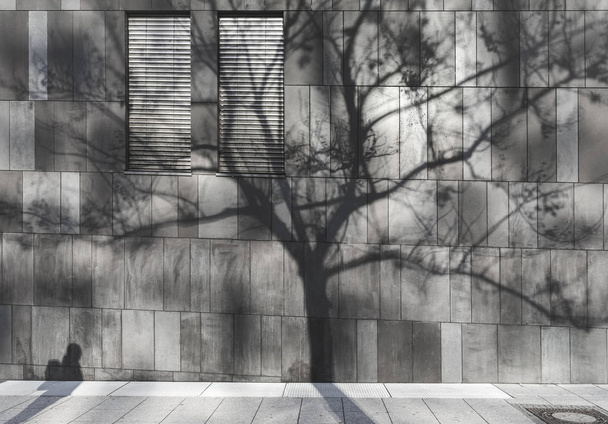 Bir adam ve bir modern Duvar ağaç gölgesi - Fotoğraf, Görsel