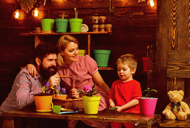 Design concept. Family potting flowers, design. Eco design in home interior. Floral design - Photo, image
