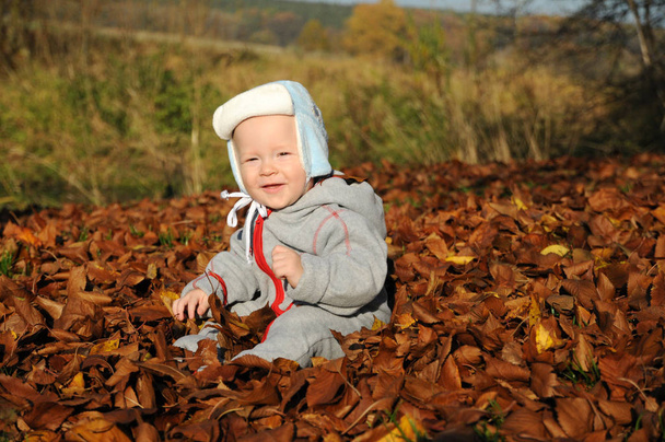 Portret szczęśliwy chłopiec bawi się żółty jesienią liści w tle na zewnątrz naturalny park - Zdjęcie, obraz