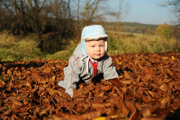 Retrato de menino feliz brincando com folhas de outono amarelo no natural ao ar livre parque fundo
 - Foto, Imagem