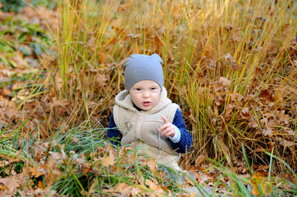 Szczęśliwy, mały chłopiec siedzi w trawie w cap otoczony opadłych liści. - Zdjęcie, obraz