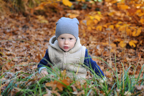 Heureux petit garçon assis dans l'herbe dans le chapeau entouré de feuilles tombées
. - Photo, image