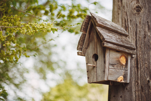 A wooden nesting box hanging on a tree. - Photo, Image