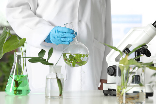 Lab assistant holding flask with leaves at table. Plant chemistry - Foto, Imagen