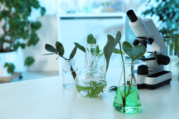 Laboratory glassware with plants and microscope on table, space for text. Biological chemistry - Fotografie, Obrázek