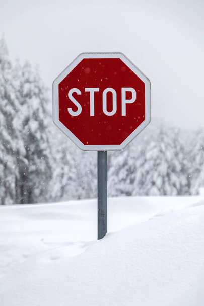 Stopbord op een sneeuw vallen weg - Foto, afbeelding