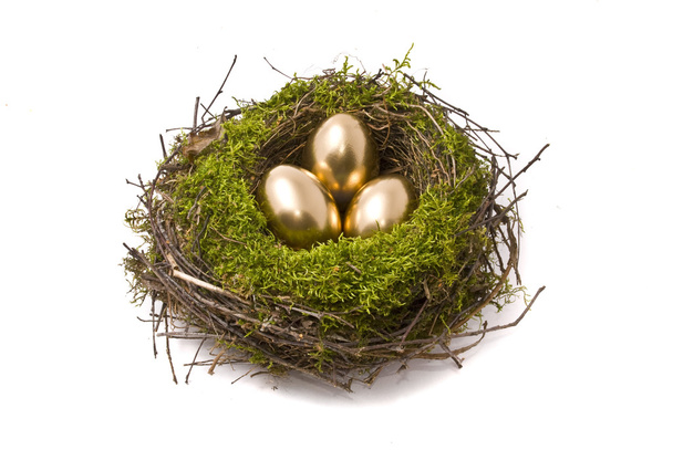 Golden eggs on a nest - Photo, image