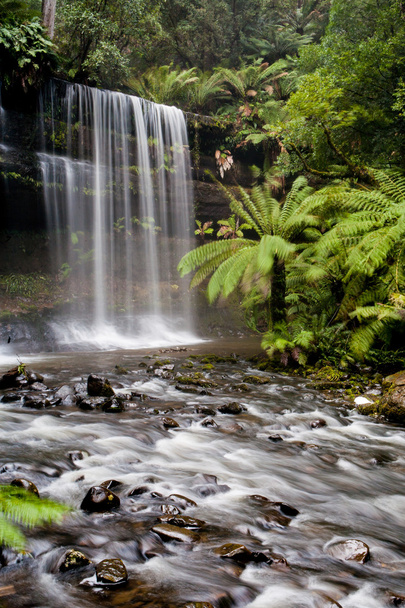Russell Falls - Fotoğraf, Görsel