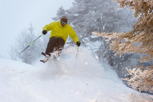 experto esquiador en un día de polvo. - Foto, Imagen