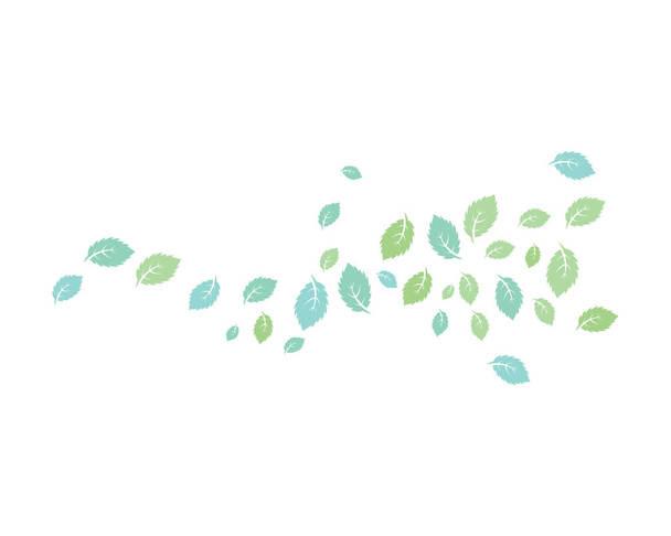 Листья мяты плоские
 - Вектор,изображение
