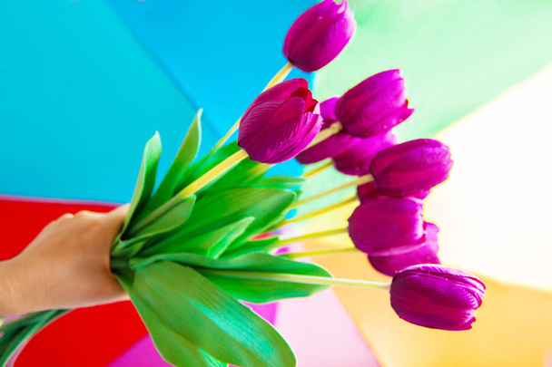 Strauß vieler schöner lila Tulpen im farbigen Hintergrund. - Foto, Bild