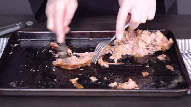 Step by step. Shredding pork roast shoulder with two forks. - Footage, Video